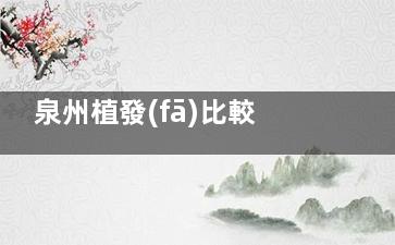 泉州植發(fā)比較好的醫(yī)院在哪？公布泉州植發(fā)技術出色/口碑好的五家醫(yī)院名單